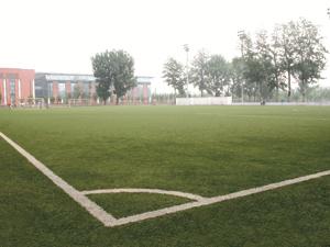 北京體育大學