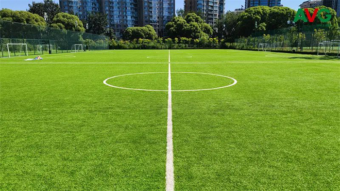 體育公園該如何建設？