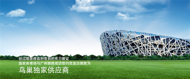國家體育場.jpg 國家體育場.jpg