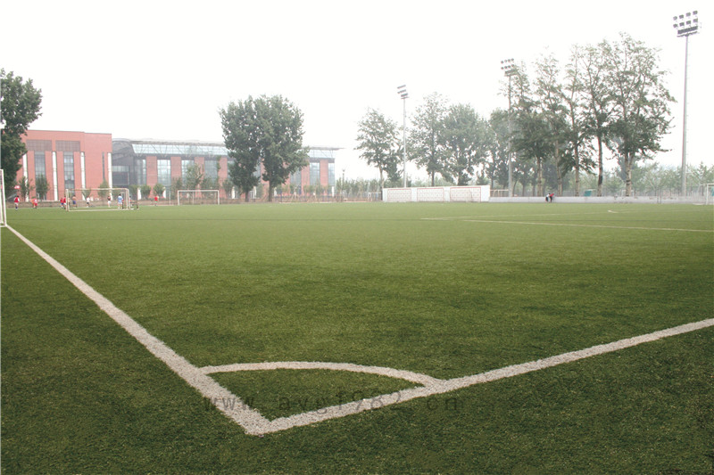 北京體育大學 北京體育大學