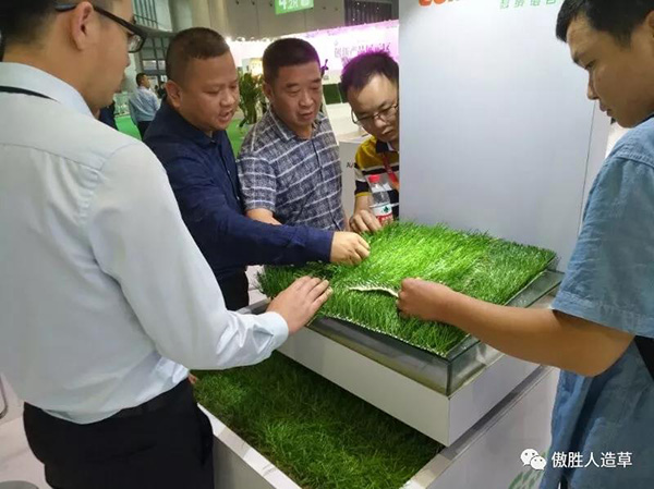 體博會 體博會