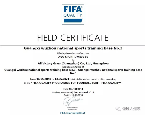 FIFA場(chǎng)地 FIFA場(chǎng)地