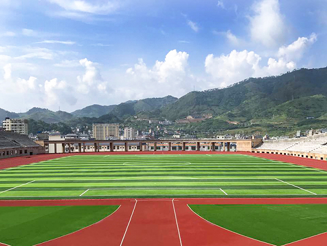 足球場人造草坪 足球場人造草坪