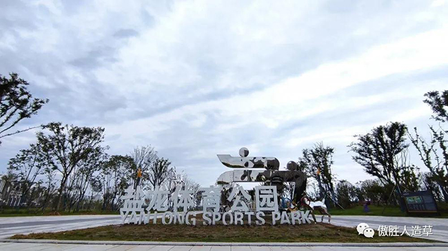 體育場 體育場