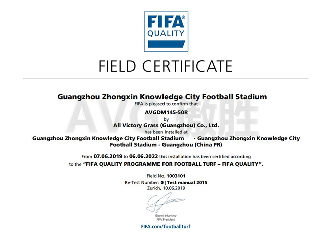 中新知識(shí)城FIFA證書