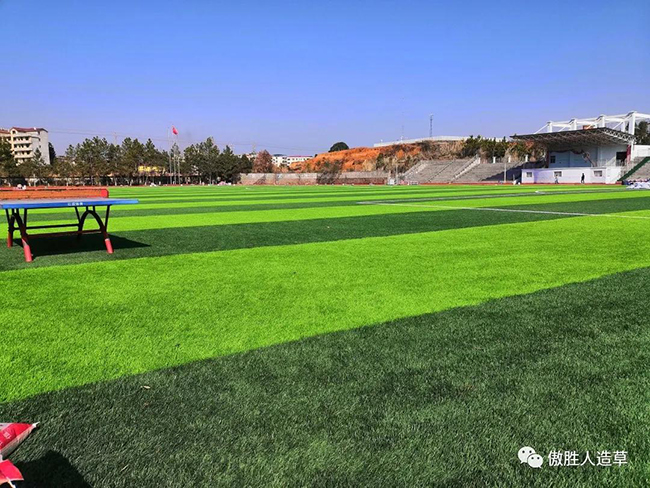 人造草坪場地 人造草坪場地