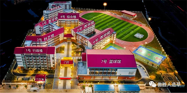 人造草坪足球場 人造草坪足球場